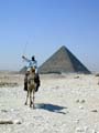 Arab with his camel